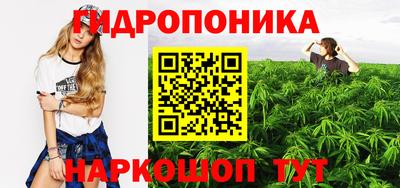 мяу мяу мука Краснознаменск