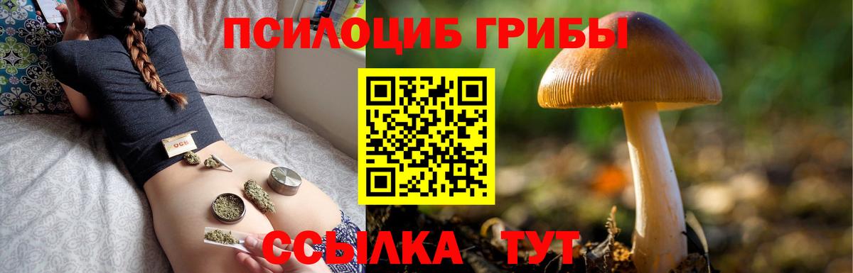 Псилоцибиновые грибы Cubensis  Псилоцибиновые грибы Cubensis  Вход с VPN  цена наркотик  Комсомольск-на-Амуре 